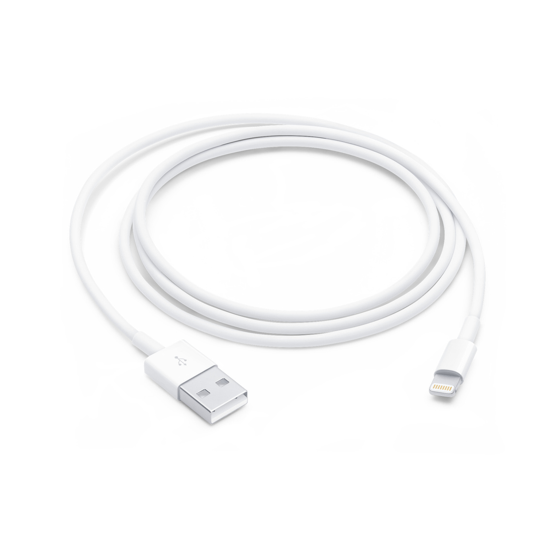 iPhone Lightning to USB Cable (1m)