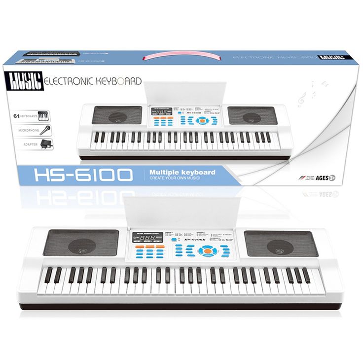 Premium Grade 61 Key Electronic Organ Keyboard HS-6100A