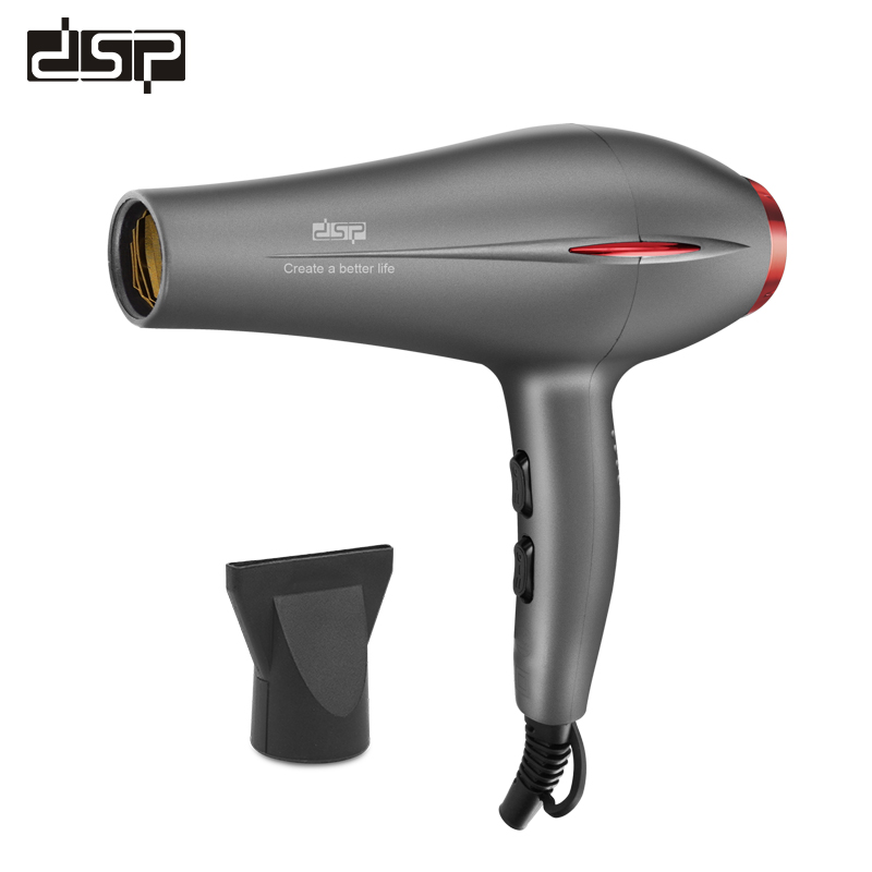 DSP Hair Dryer 30284